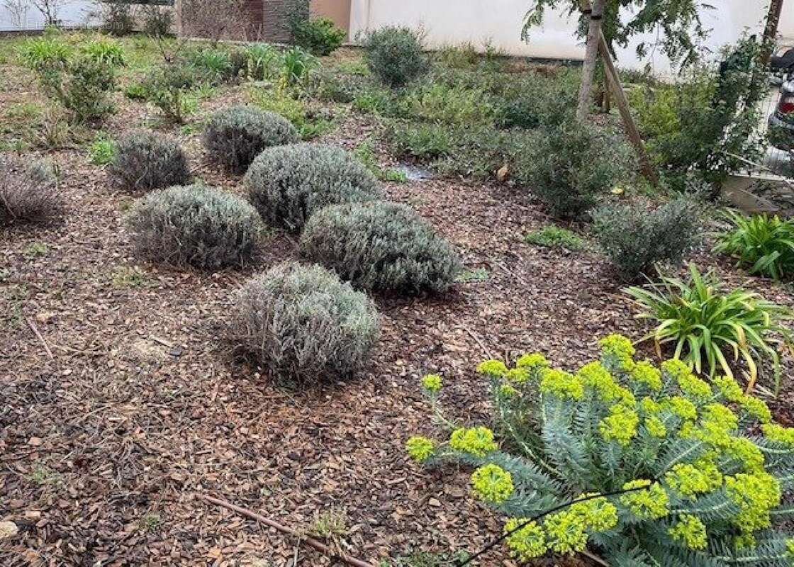 Photo 6 - Appartement à MARSEILLE-13E