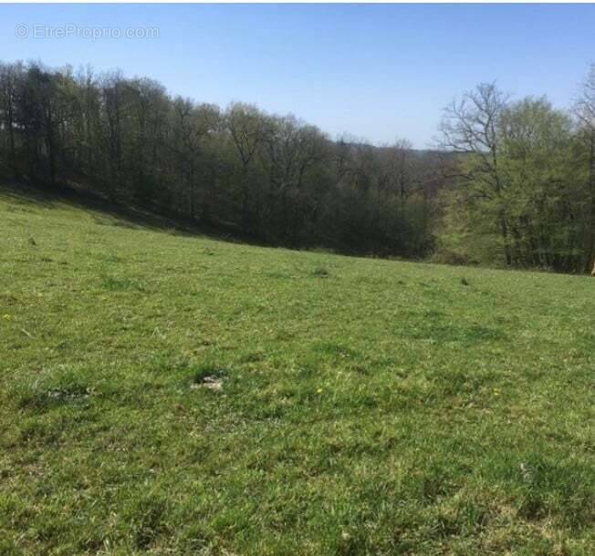 Terrain à DAMPNIAT