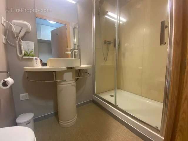 Appartement à BESSE-ET-SAINT-ANASTAISE