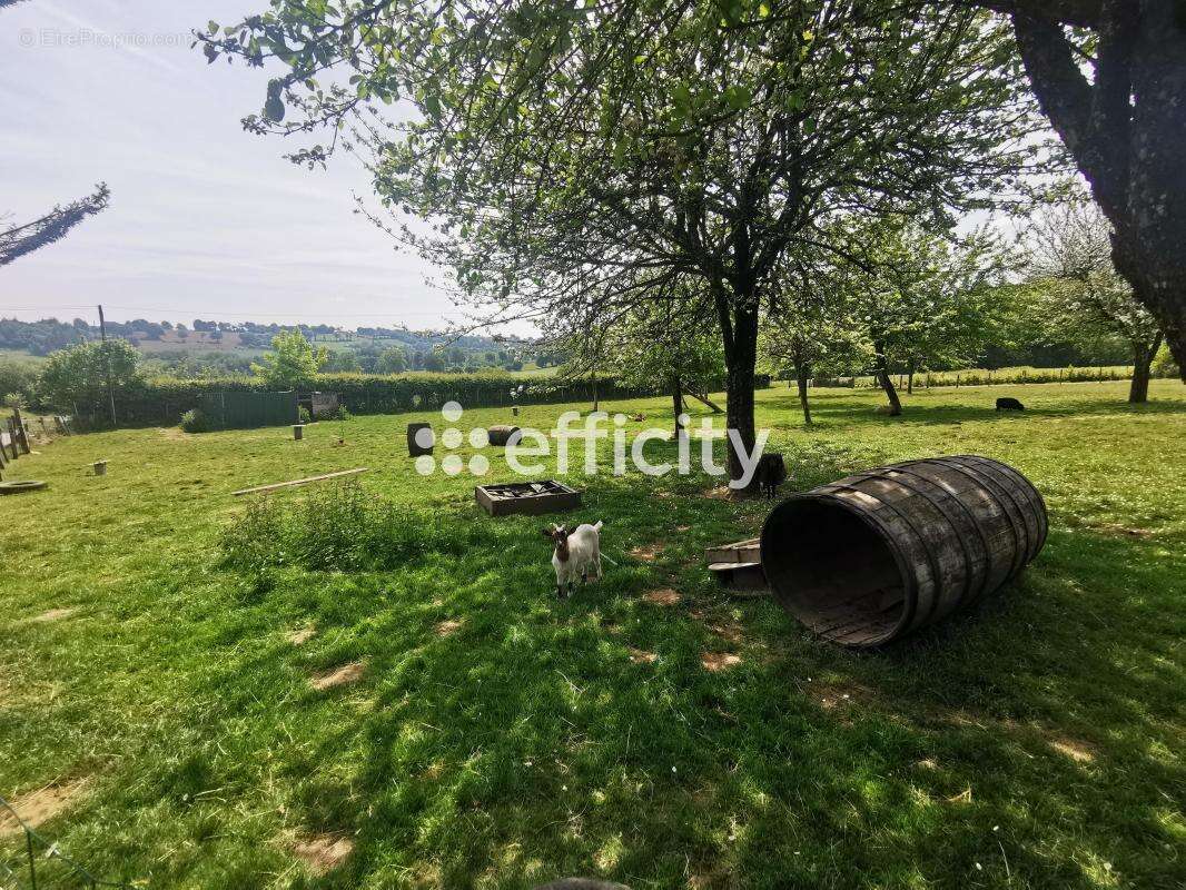 Maison à SAINT-SEVER-CALVADOS