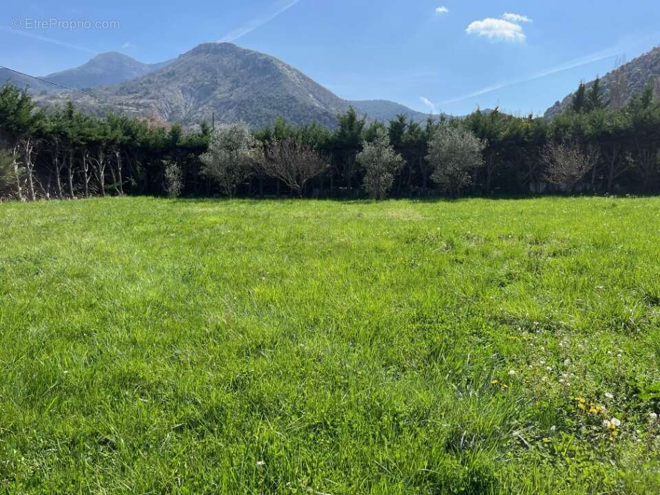 Terrain à CONDORCET