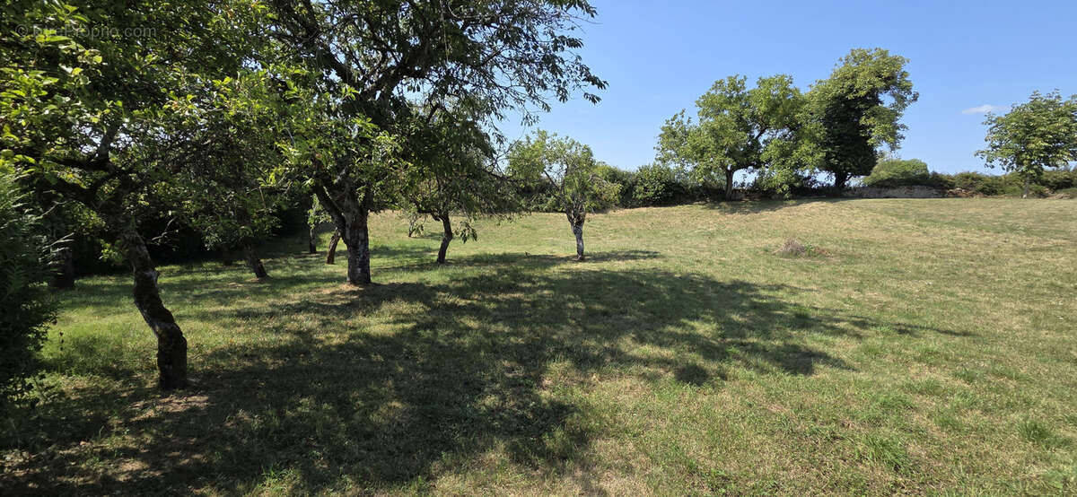 Ancienne ferme avec nombreuses dépendances et plus de 3 000 m2 de terrain - photo 24