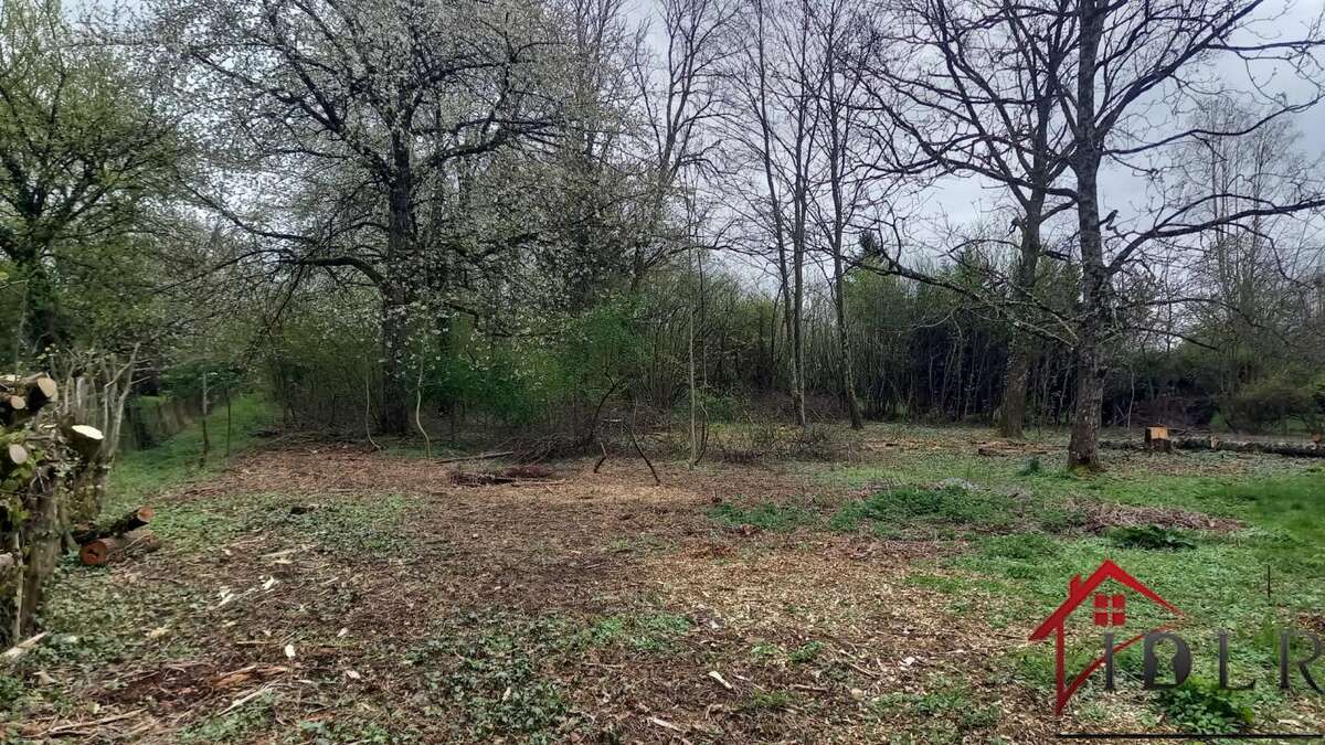 Terrain à SAINT-GERMAIN-LES-ARLAY