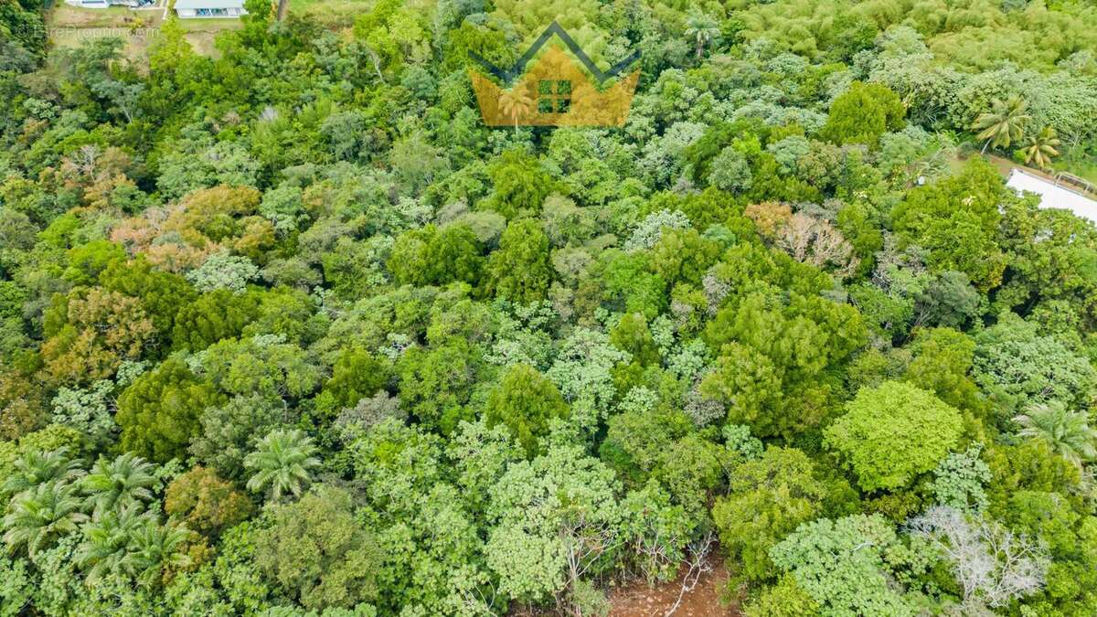 Terrain à PETIT-BOURG