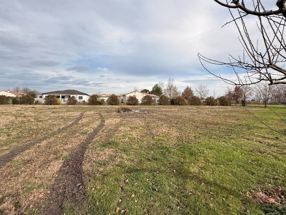 Terrain à BLAN
