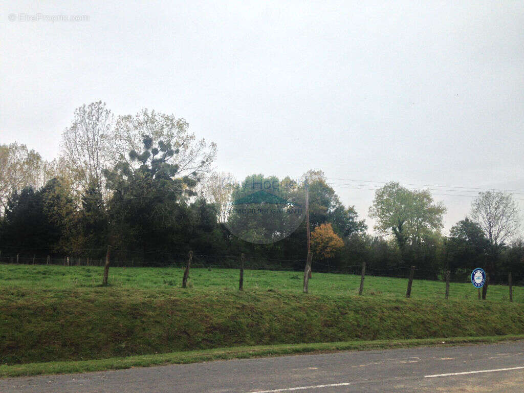 Terrain à CORRIBERT