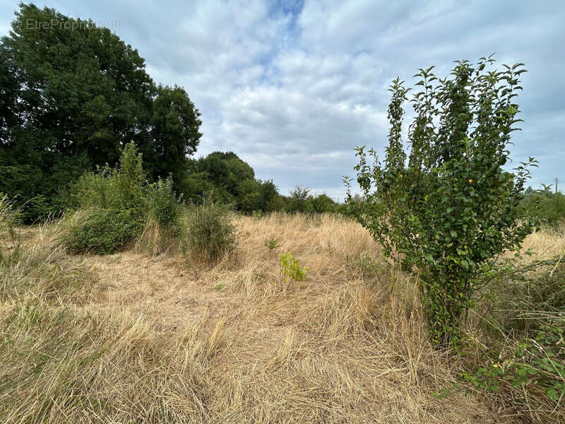 Terrain à COUTIERES