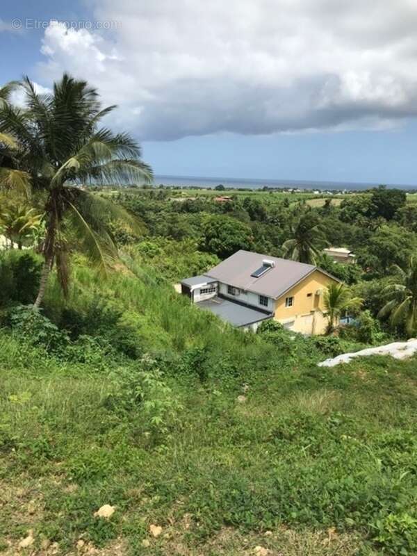 Terrain à CAPESTERRE-BELLE-EAU