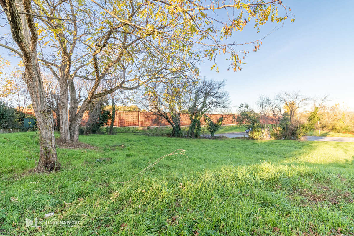 Terrain à COLOMIERS
