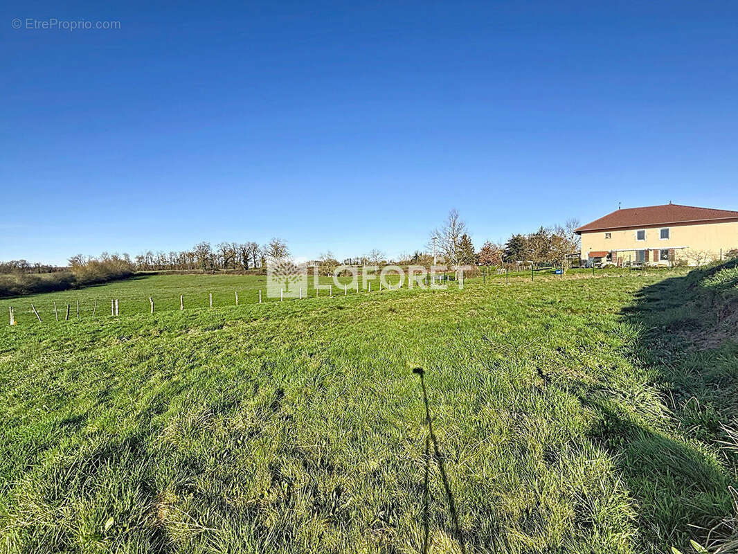 Terrain à LESCHEROUX