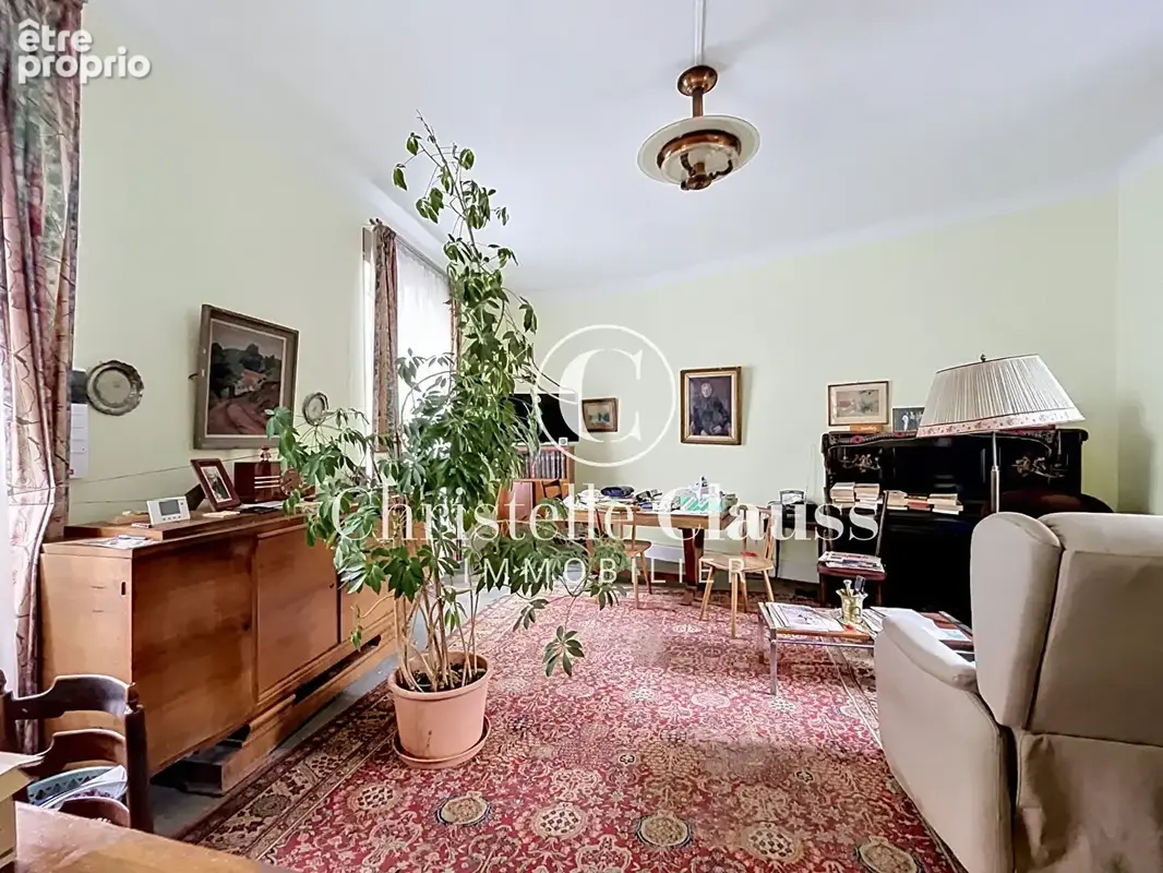 Immeuble Sélestat 251m² - photo 4