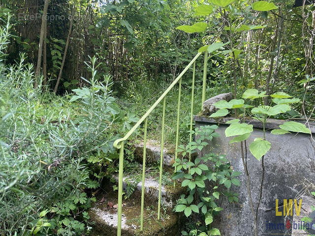 Maison pierre - photo 6