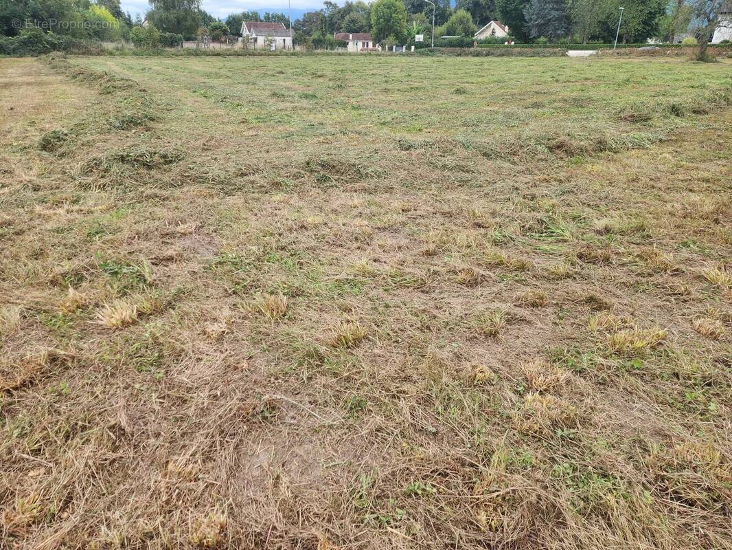 Terrain à ASSON