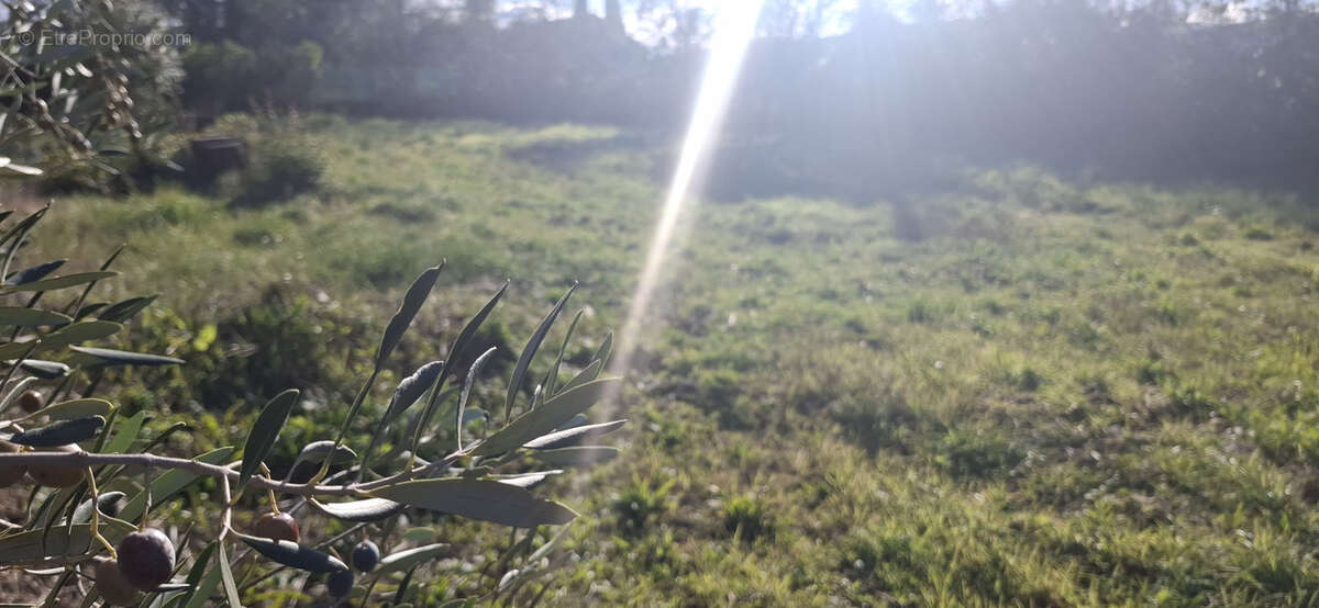 Terrain à LAROQUE