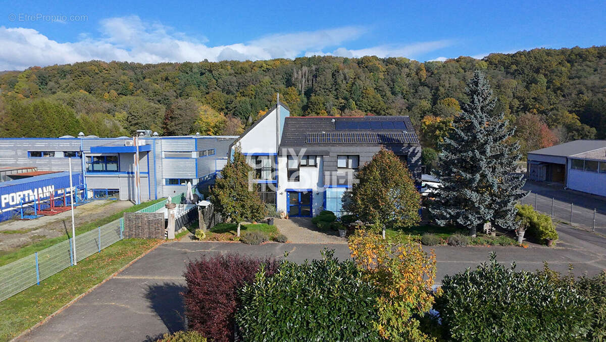 Appartement à SENTHEIM