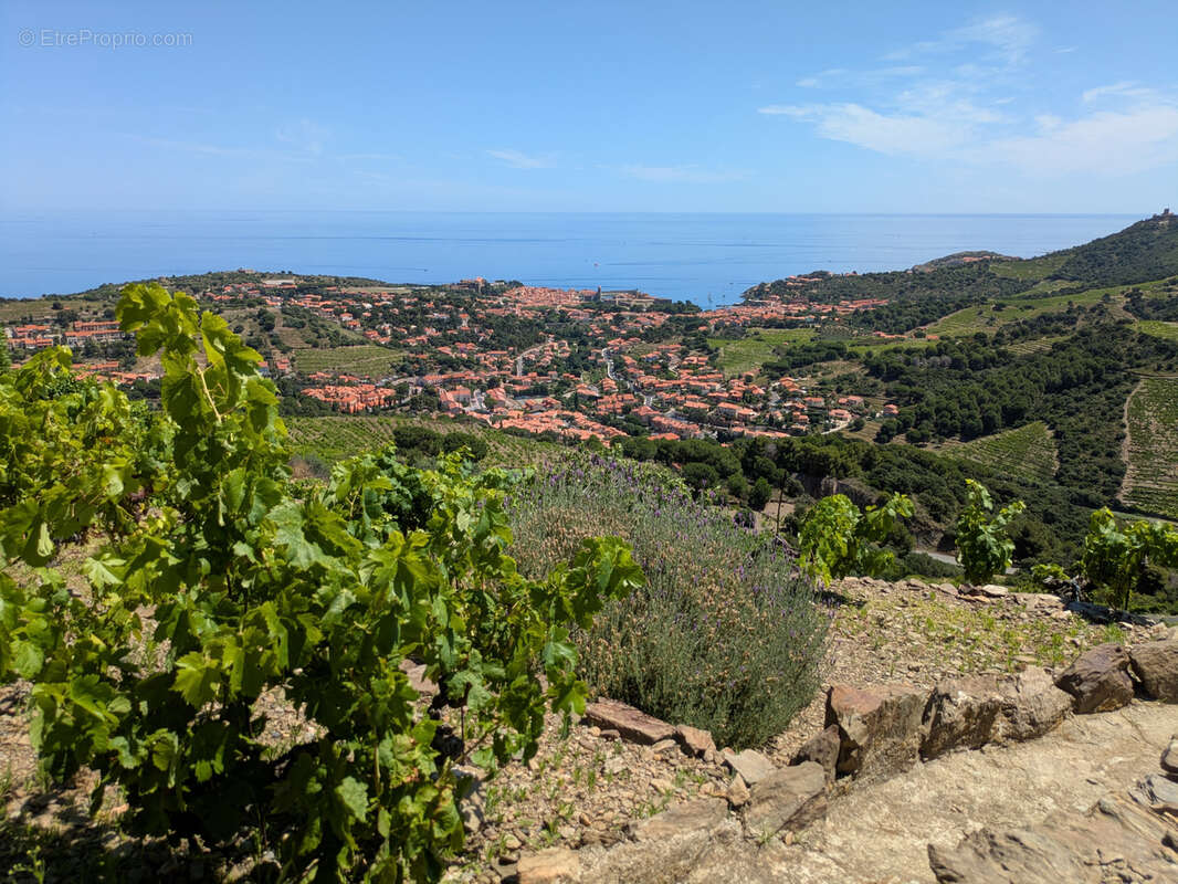 Terrain à COLLIOURE