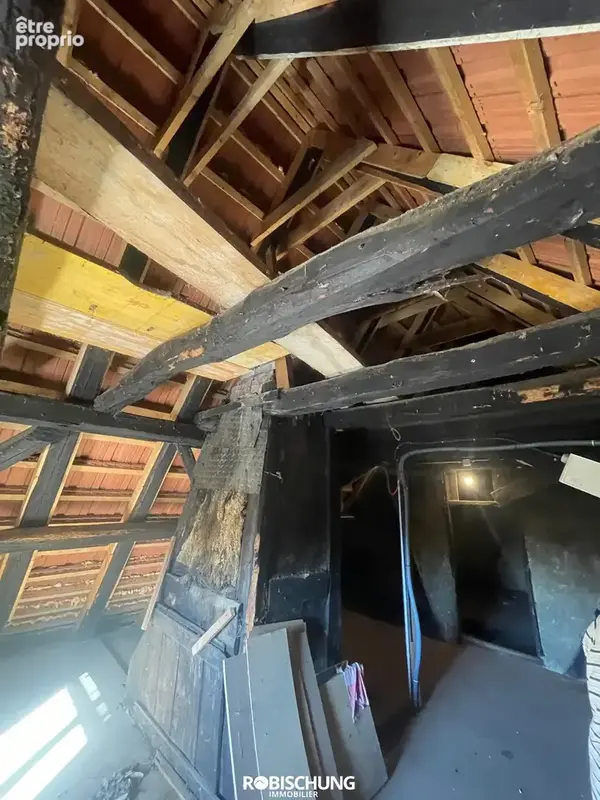 BUETHWILLER : Un potentiel rare, à découvrir - photo 8