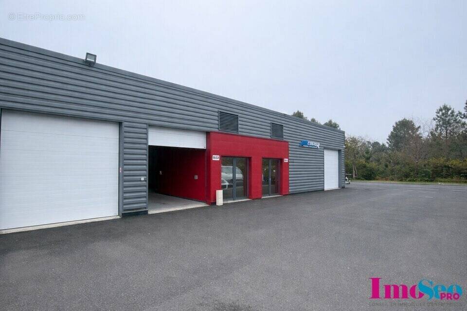 Commerce à SAINT-JEAN-D'ILLAC