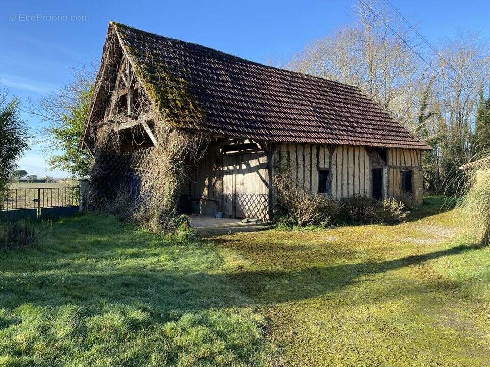 Maison à ESTANG