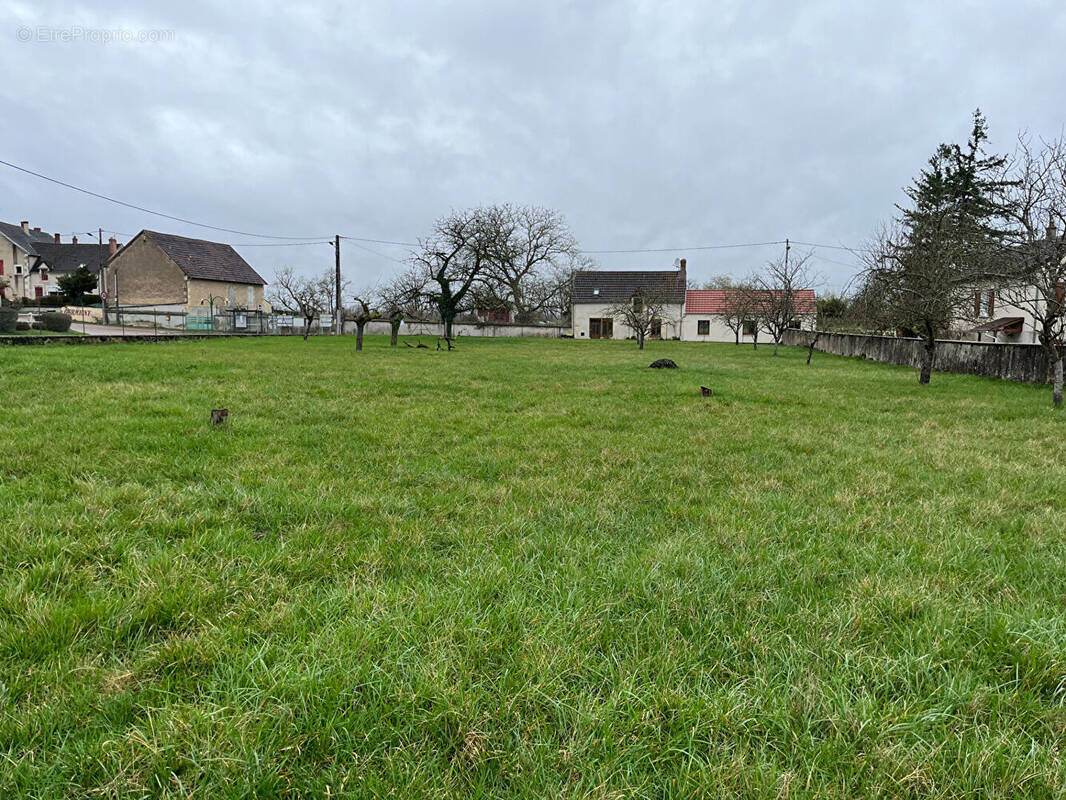 Terrain à GERMIGNY-SUR-LOIRE