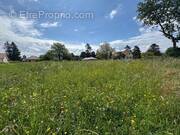 Photo 1 - Terrain à VORAY-SUR-L&#039;OGNON