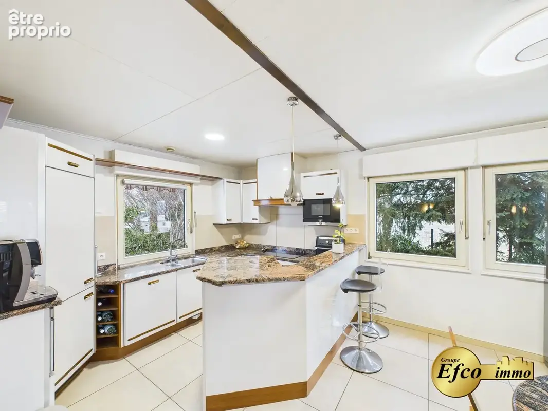 Maison 7 pièces 203 m² à vendre à Hagenthal-Le-Bas (68220) - photo 8