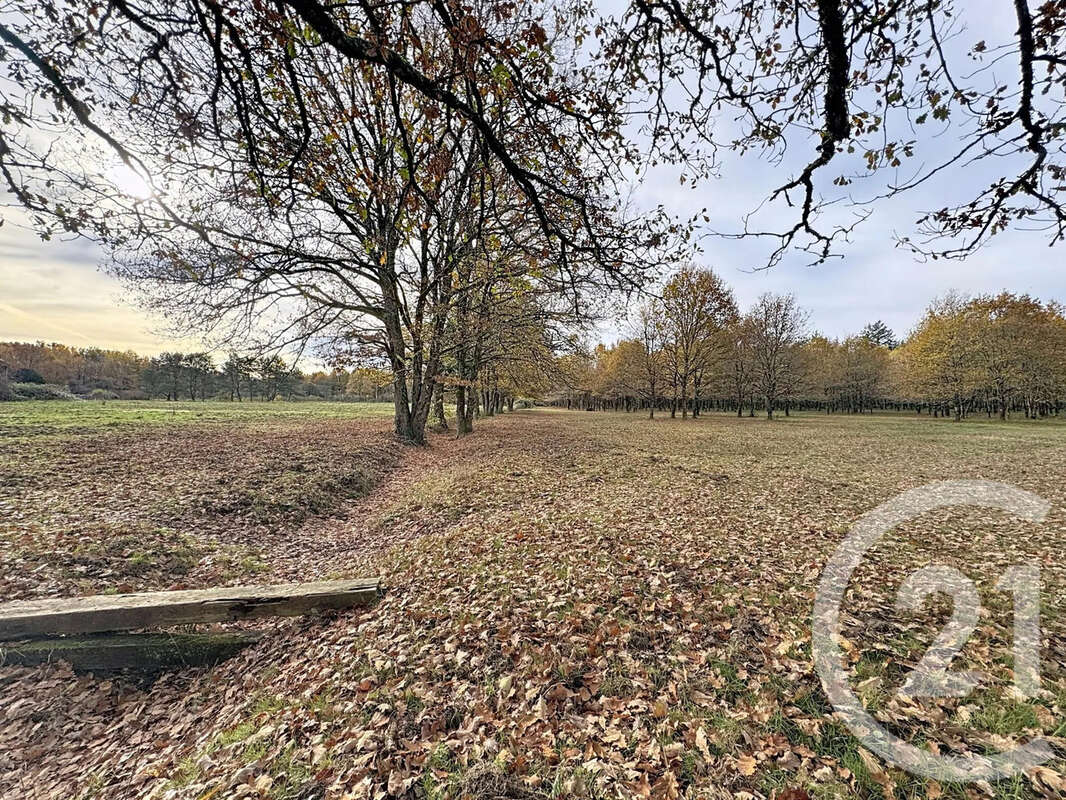 Maison à MENESTREAU-EN-VILLETTE
