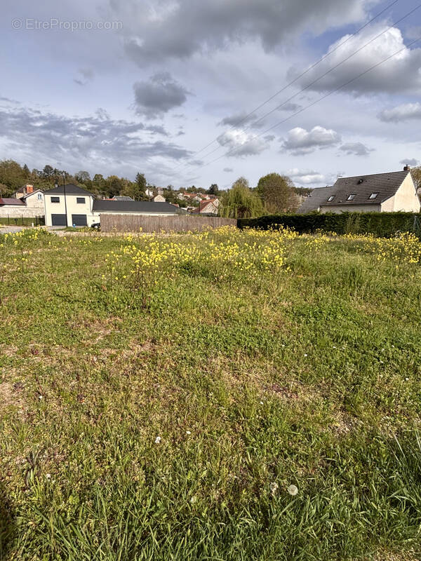 Terrain à MONTIGNY-SUR-VESLE