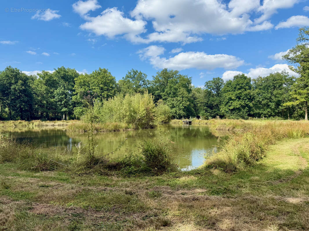 Terrain à MONTIGNE-LES-RAIRIES