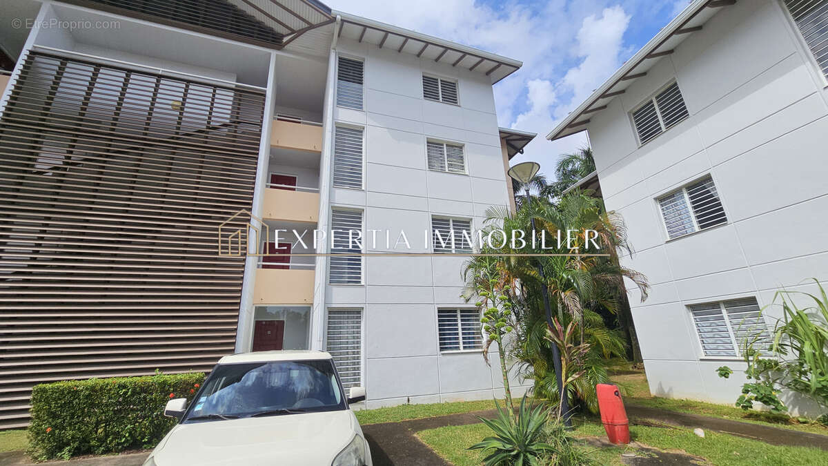 Cayenne : grand appartement avec terrasse à acheter - photo 10