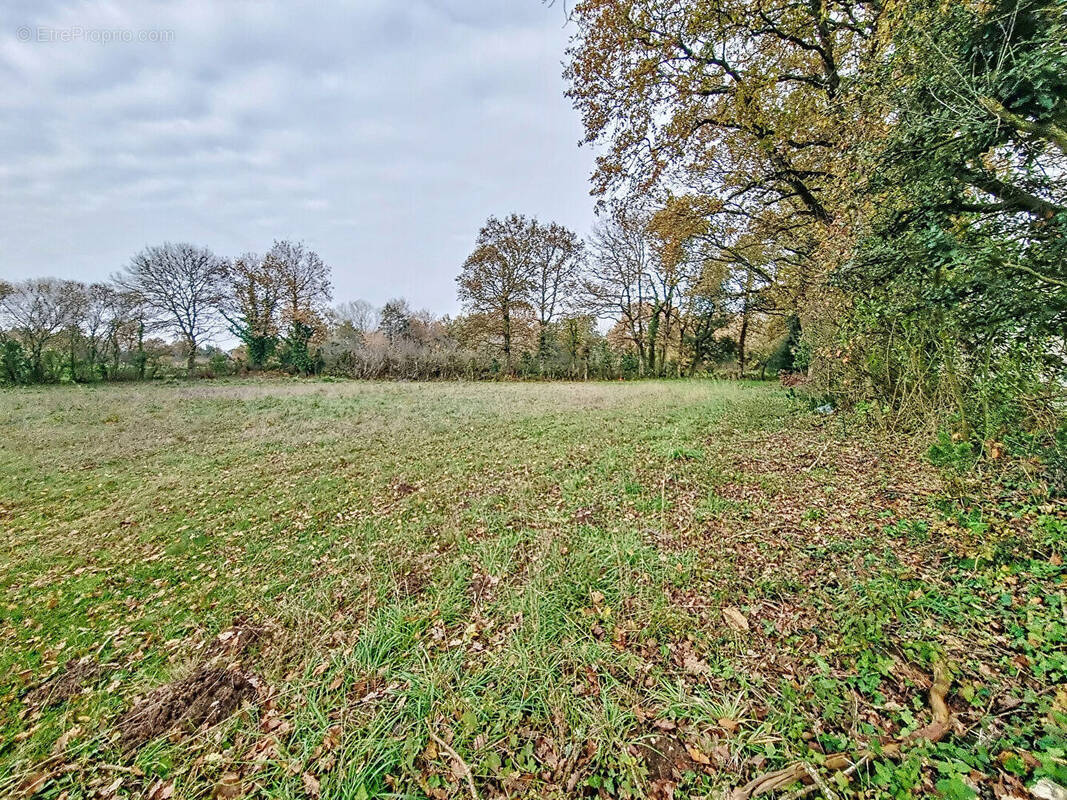 Terrain à SAINT-MAIXENT-SUR-VIE