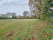 Terrain à SAINT-MAIXENT-SUR-VIE