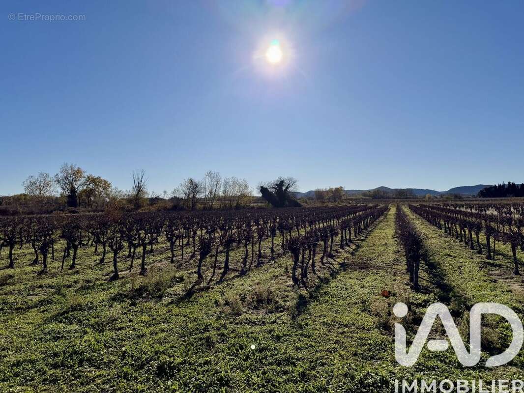 Photo 7 - Terrain à LAUDUN-L&#039;ARDOISE