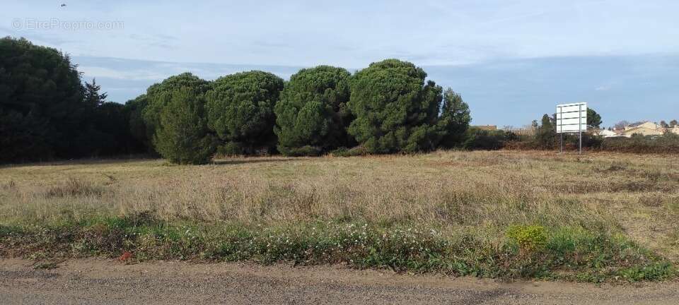Terrain 350 m² à Autignac  - photo 4