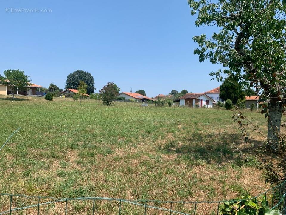 Terrain à ORTHEVIELLE