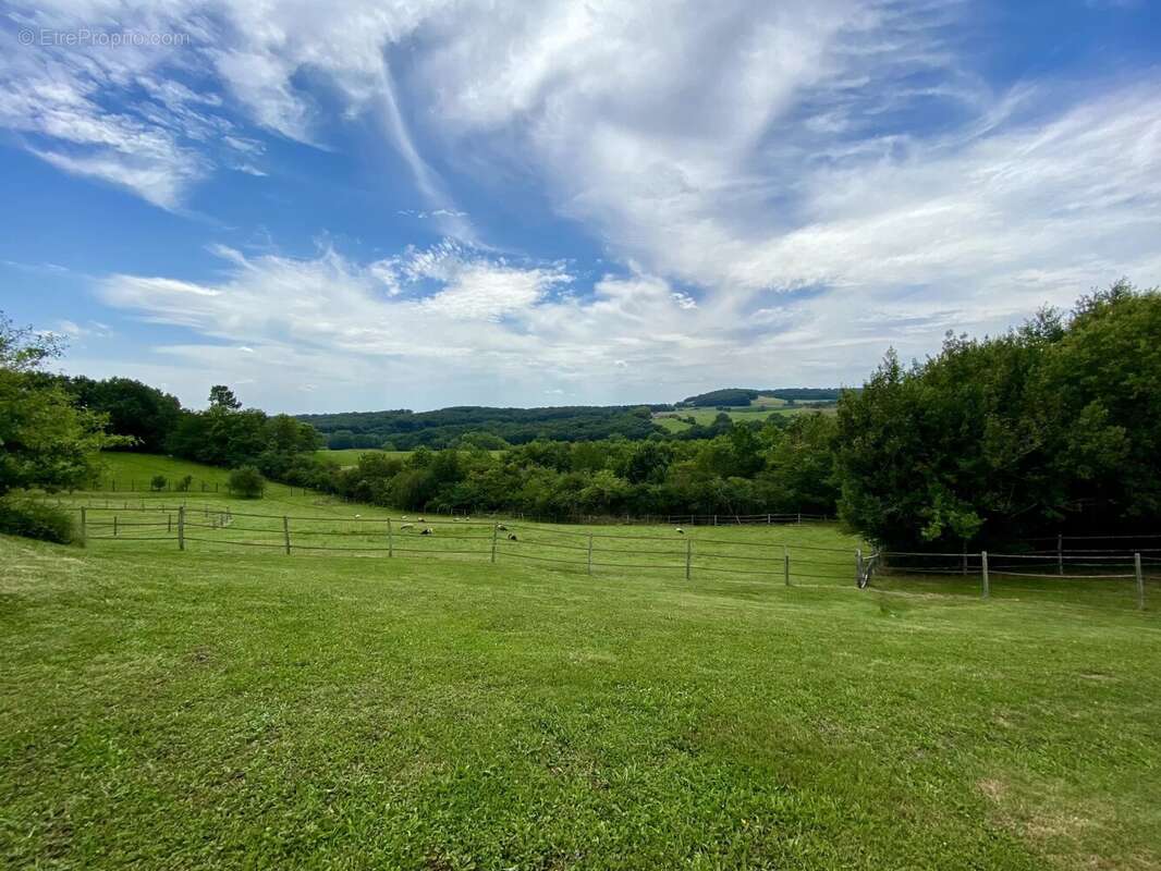 Magnifique propriété avec 2 gîtes, 2 piscines et vue imprenable - photo 24