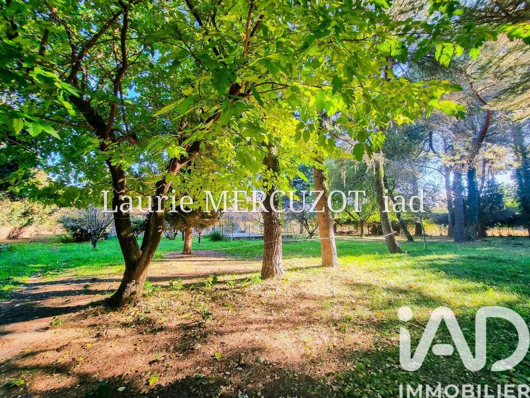 Photo 7 - Maison à ARGELES-SUR-MER