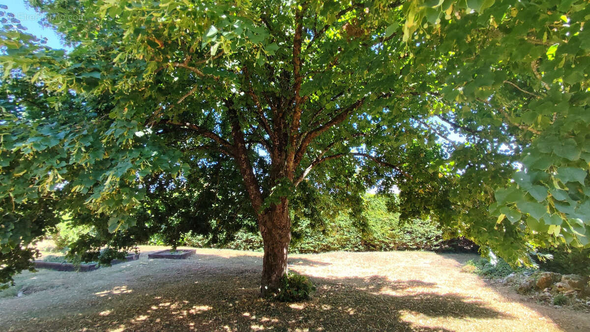 Maison 3 chb. avec jardin arboré, PAC et terrasse   À 13 min de Saintes - photo 14