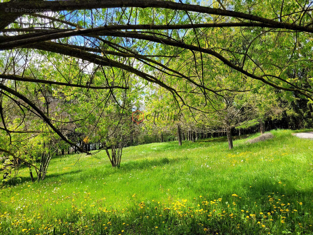 Terrain à SAINT-BONNET-EN-CHAMPSAUR