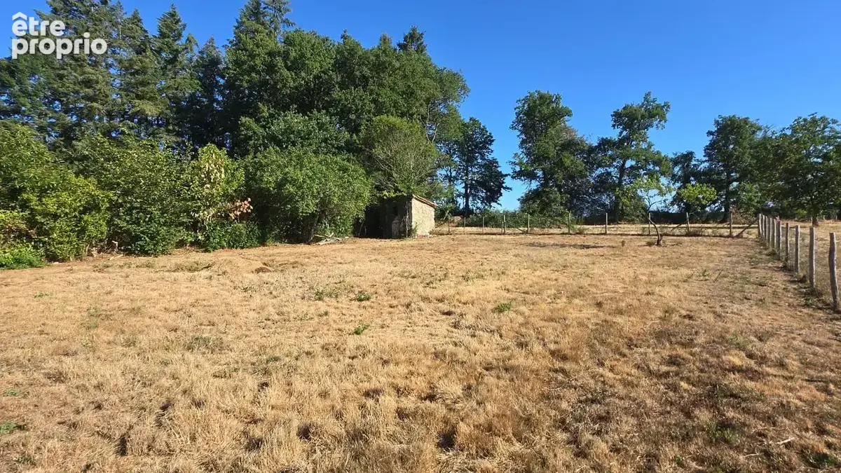 Maison 6p + jardin + grange + dependances - calme et campagne - oradour sur glane (87) - photo 5