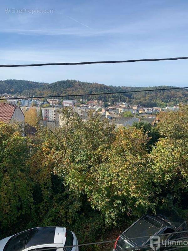 Maison quartier résidentiel Epinal - photo 1