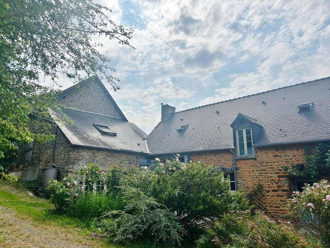 Photo 6 - Maison à VILLAINES-LA-JUHEL