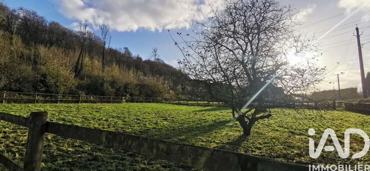 Photo 4 - Maison à ALEMBON