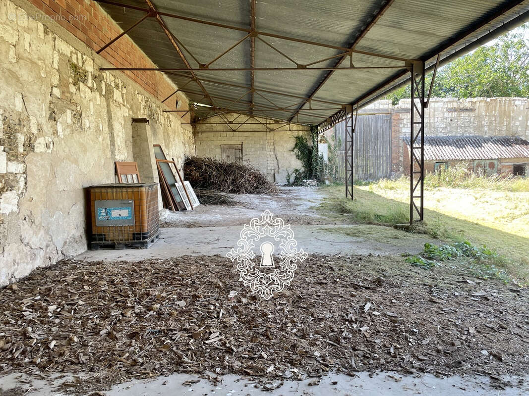 Région Sergines - photo 16
