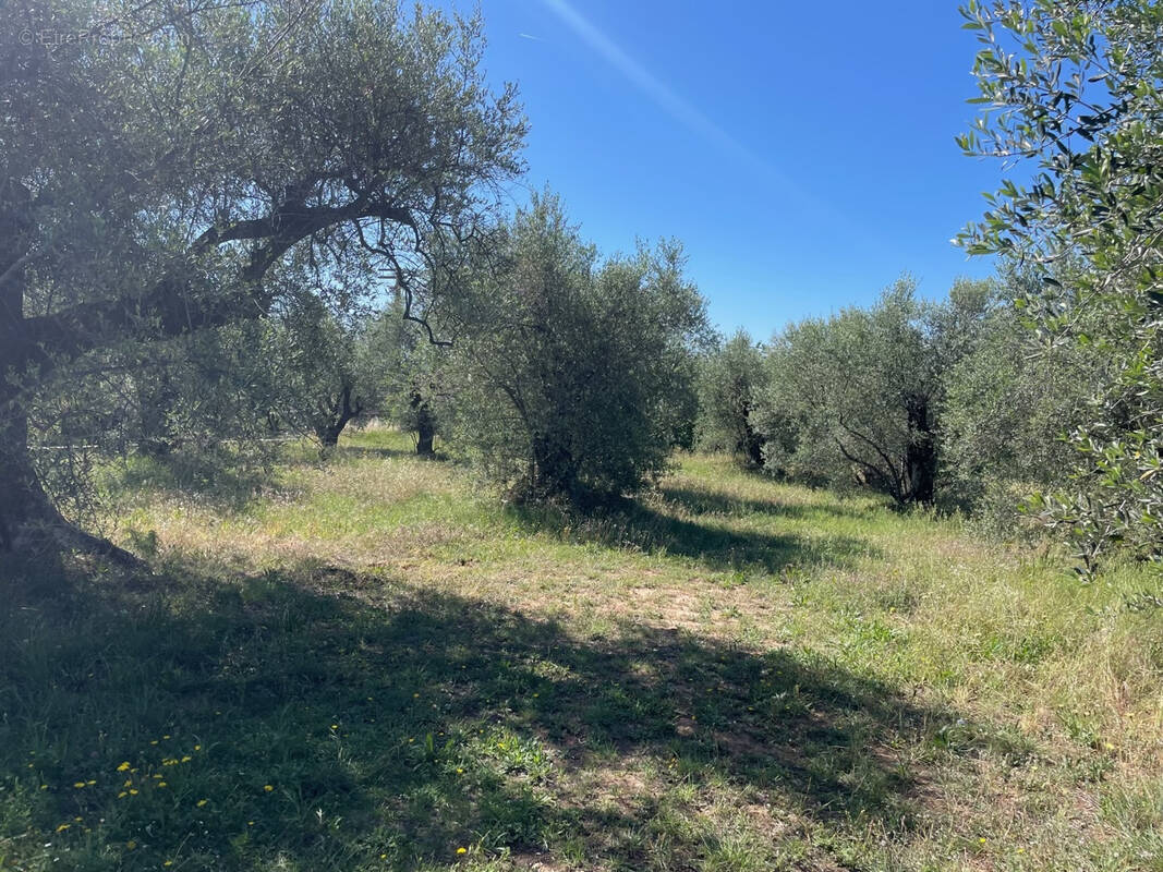 Terrain à SAINT-MARTIN-DU-VAR