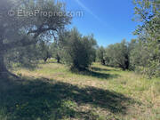 Terrain à SAINT-MARTIN-DU-VAR