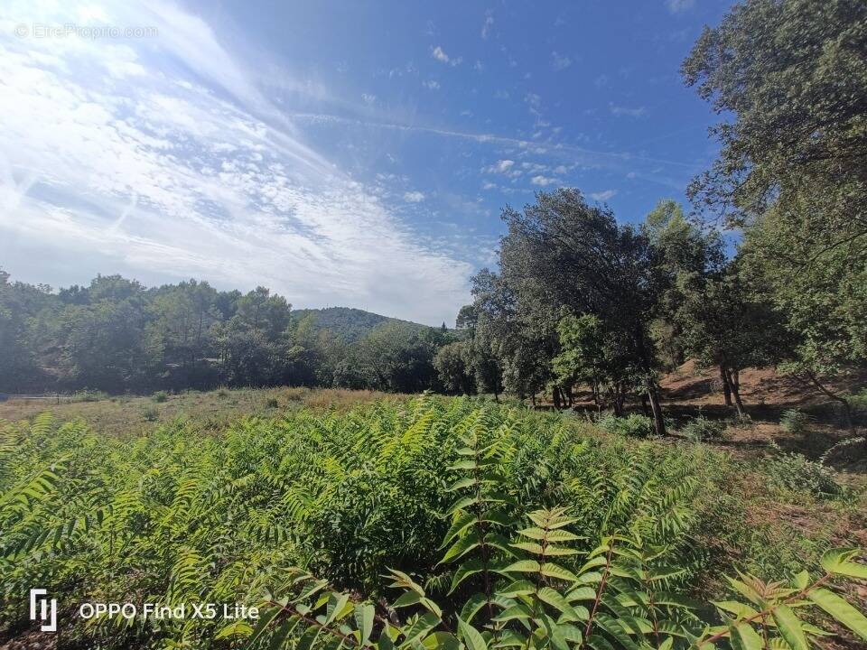 Terrain à TARADEAU