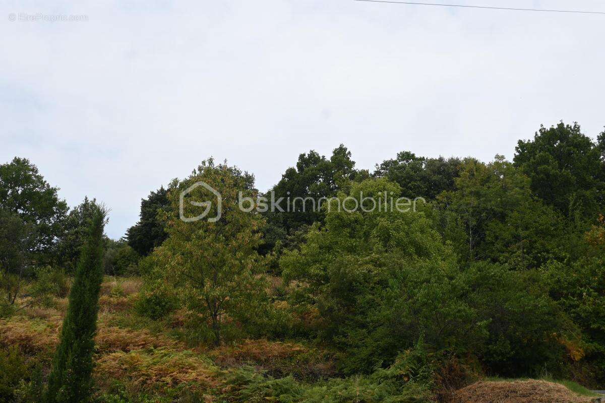 Terrain constructible bréau mars (30120) - photo 3