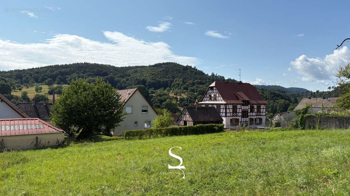 LEMBACH - Terrain constructible À VENDRE - photo 3