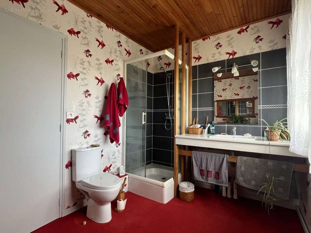 Maison à SAINT-GEORGES-SUR-BAULCHE